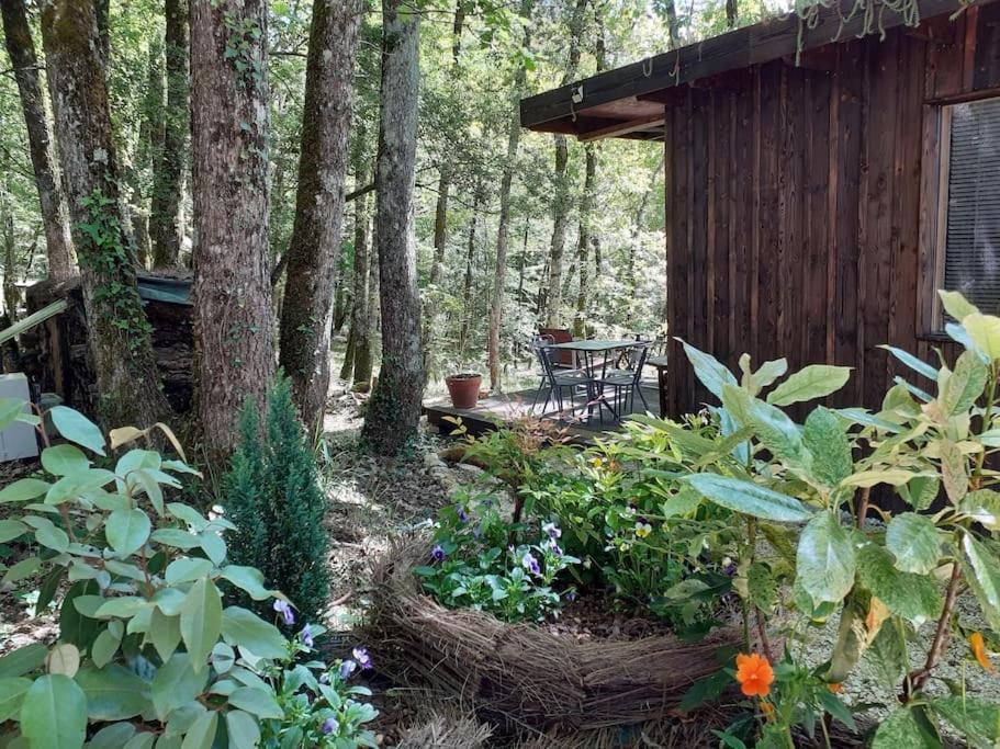 Le Gite De La Cabane De L'Oiseau Couze-et-Saint-Front Exterior foto